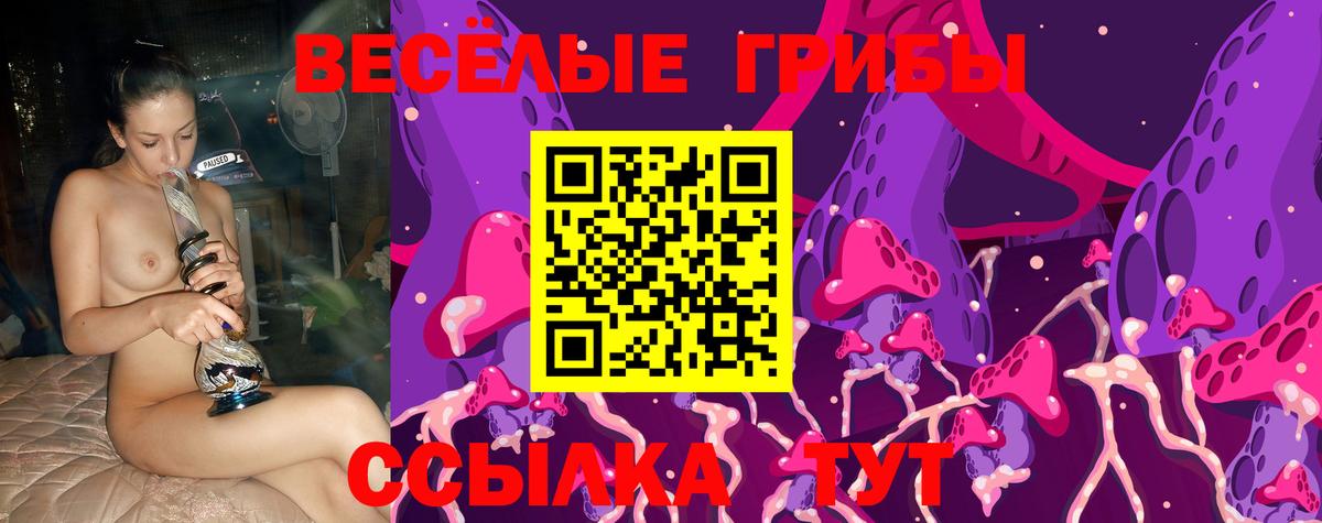 Псилоцибиновые грибы мухоморы Гурьевск