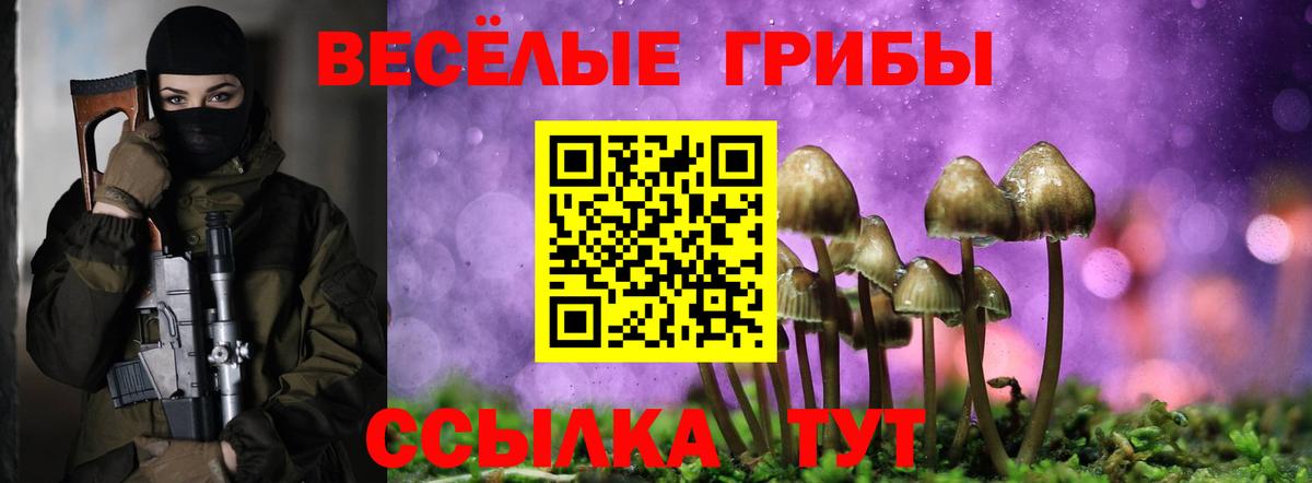 Псилоцибиновые грибы Psilocybe  купить  сайты  Гурьевск  Вход с VPN  Галлюциногенные грибы прущие грибы 